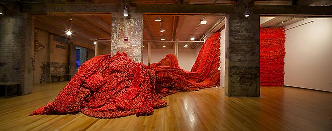 Big Boss, 2010
Rope with latex paint
Dimensions variable
Installation view, MASS MoCA