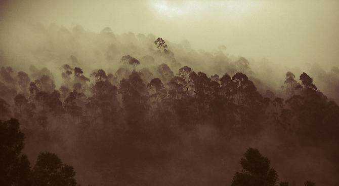  Untitled  (2011)  -  Enquire 
From the  Secret Places  Series
Digital Print on Harman CrystalJet Gloss Paper with Satin Matte Laminate on Aluminium
20 x 13 " (Editions of 12)