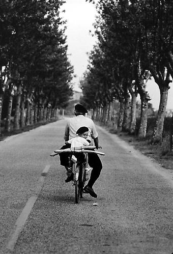 Provence, France
1955