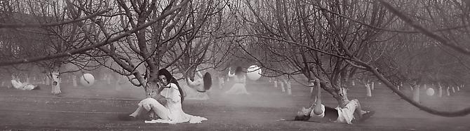 Jeff Charbonneau & Eliza French
Axis Mundi, 2010 (from Playground Series)
Chromogenic print mounted to dibond
Edition of 3; 24 x 90 inches
Edition of 4; 21 x 75 inches
Edition of 5; 14 x 50 inches