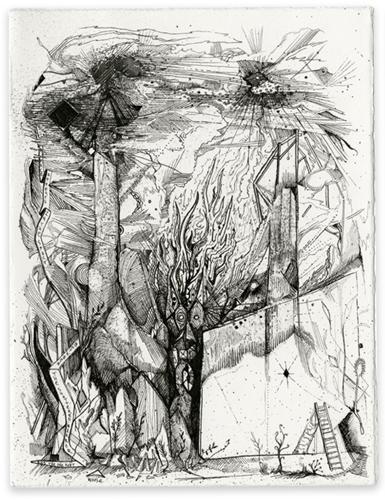 Face 2 (From the Nebula Series), 2010
Pen, ink xerox transfer on paper
8.5 x 6.5 inches