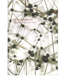 Heide Fasnacht: Strange Attractors