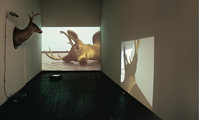   Dissonance  (installation view), 2009 
Multiple channel video installation
  View More  ➤ 