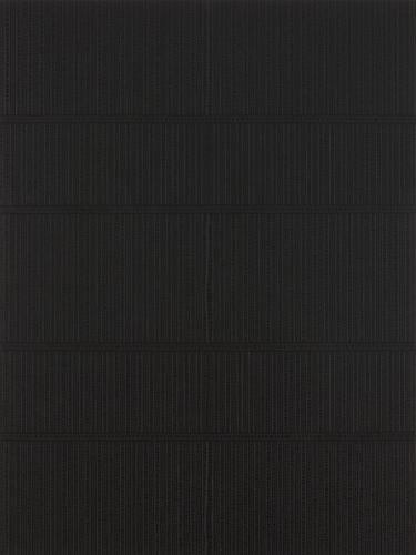 Katia Santibañez, Shadows Upon Shadows (2011)
Acrylic, Black Gesso on Panel
48h x 36w in (121.92h x 91.44w cm)