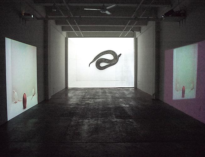  See Evil, Hear Evil, Speak Evil , 2006
Multiple channel video installation (3 videos)
  View More  ➤ 