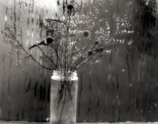 Window and Still Life, Cape Cod, Massachusetts
1958
gelatin silver print