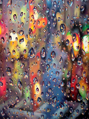 It Will End In Tears, 2011-2012.
Oil on canvas, 48 x 36 inches.