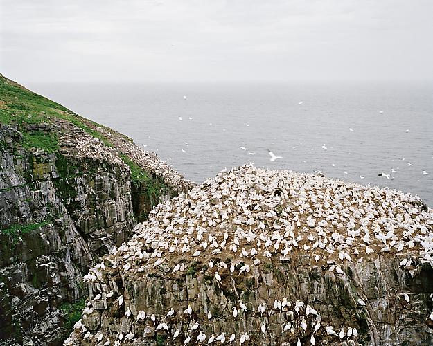 BIRD ROCK | UNMARKED SITES | C-PRINT | 24 X 30 INCHES | 2010