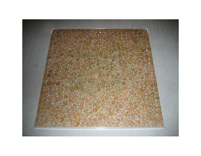  oxalis leaves pressed and preserved, 2008 
Plexiglas box, oxalis leaves, 36 x 36 x 2 in.
  View More  ➤ 