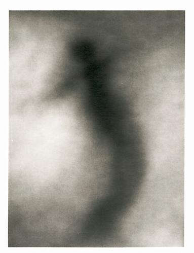  JOHN BRILL
Discarnate, 1999 
Selenium-toned silver print, 19 ¼ x 17 ¼ in.
Edition 2 of 10