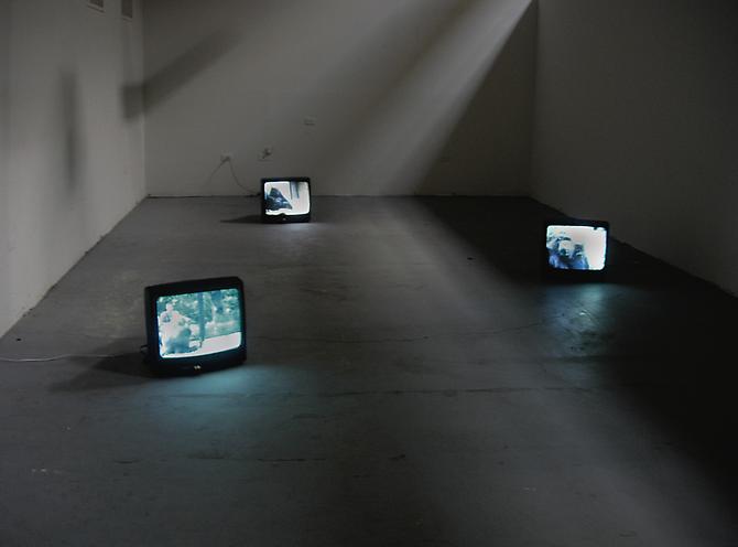  Primate Visions  (installation view), 2005
Multiple channel video installation
Dumbo Arts Festival, New York
  View More  ➤ 