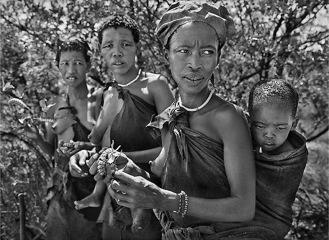 Bushmen women collecting caterpillars, The Kalahari desert, Botswana
2008
gelatin silver print
