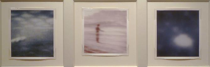  JOHN BRILL
Travelogue, 1999 
Selenium- (center print only) and gold- (outer prints only) toned silver print
Triptych, 3 photographs, each 4 ¾ x 4 ½ in., overall: 178 x 1/8 x 29 in.