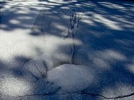 CHERYL PAGUREK | PASSAGE STILL 2 | INK JET PRINT ON PHOTOGRAPHIC PAPER | 18 X 24 CENTIMETERS | 2007