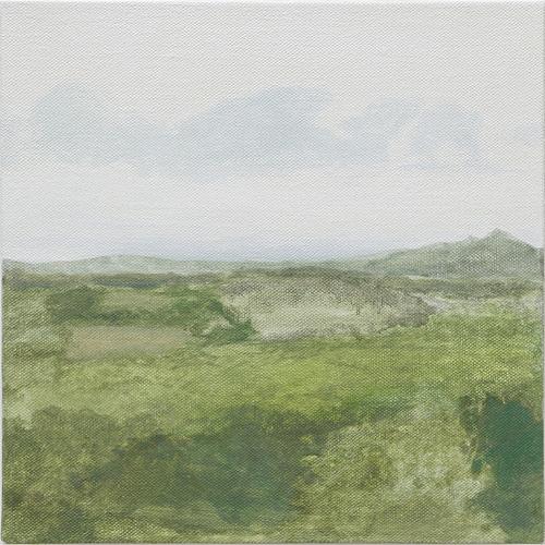 From Kelly's Trees , 2009
Oil on linen
12 x 12 inches