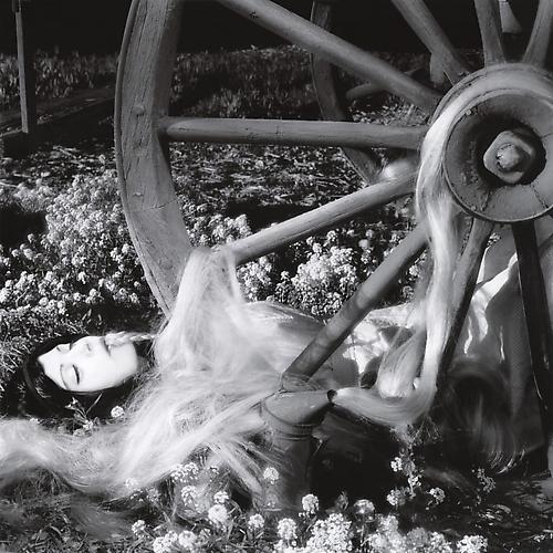 Jeff Charbonneau & Eliza French
Epistatic Key, 2008 (from Massillon Series)
Chromogenic print mounted to dibond
Edition of 7; 29.25 x 29.25 inches