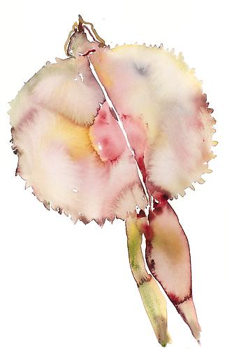 Double Pod (2012)
Watercolor On Paper
22h x 15w in (55.88h x 38.1w cm)