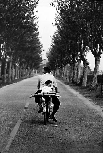 Provence, France
1955
gelatin silver print