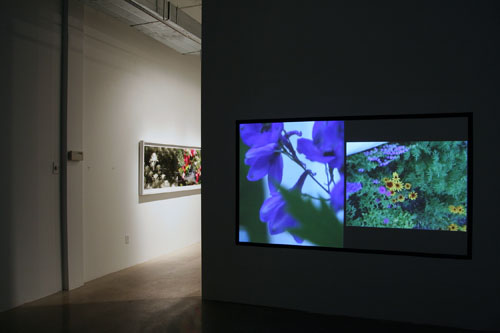 HIGH VALUE TARGETS | INSTALLATION VIEW | PATRICK MIKHAIL GALLERY