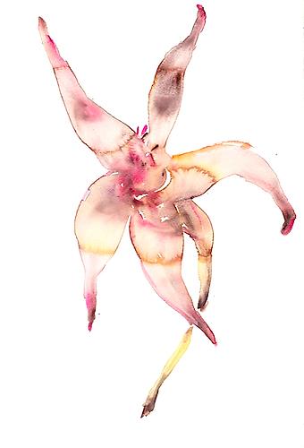 Pink Flower (2012)
Watercolor On Paper
22h x 15w in (55.88h x 38.1w cm)