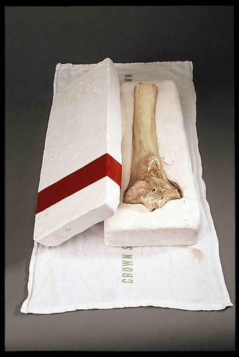Eunah Kim
Casket, 2006