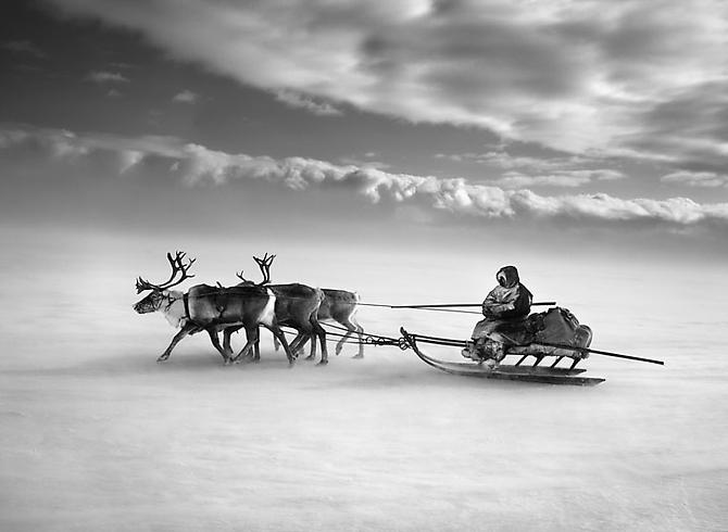 Nenets, an indigenous nomadic people, whose main subsistence come from reindeer herding, South Yamal region, Siberia, Russia
2011
gelatin silver print