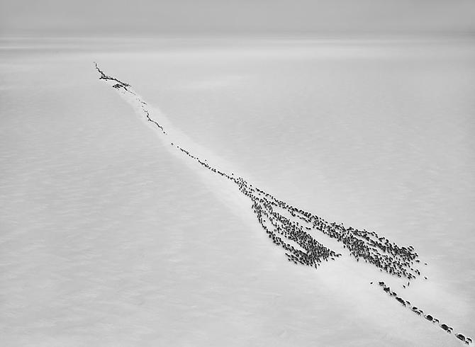 Nenets, an indigenous nomadic people, whose main subsistence come from reindeer herding, South Yamal region, Siberia, Russia
2011
gelatin silver print