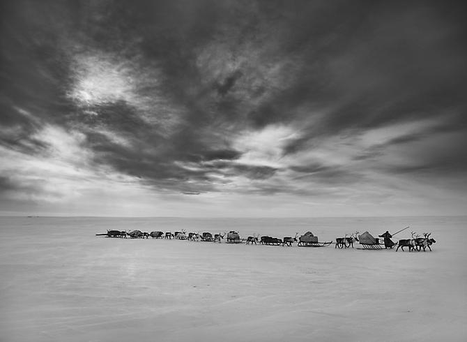 Nenets, an indigenous nomadic people, whose main subsistence come from reindeer herding, South Yamal region, Siberia, Russia
2011
gelatin silver print