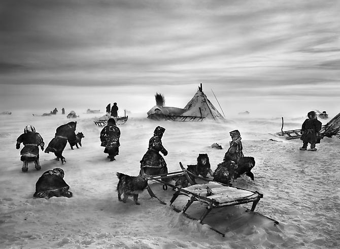 Nenets, an indigenous nomadic people, whose main subsistence come from reindeer herding, South Yamal region, Siberia, Russia
2011
gelatin silver print