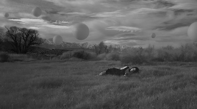 Jeff Charbonneau & Eliza French
Varuna, 2010 (from Playground Series)
Chromogenic print mounted to dibond
Edition of 3; 24 x 43 inches
Edition of 4; 18 x 32.5 inches
Edition of 5; 12 x 21.5 inches
