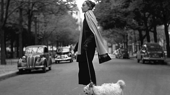 Georges Dambier