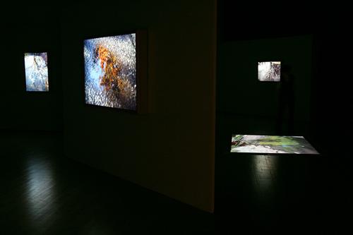 CHERYL PAGUREK | FLOW AND REFLECTION | INSTALLATION VIEW | LA MAISON DE LA CULTURE DU PLATEAU MONT-ROYAL | 2009


FEATURED EXHIBITION | THE SPACES OF THE IMAGE | LE MOIS DE LA PHOTO A MONTREAL | SEPTEMBER 10 TO OCTOBER 11, 2009