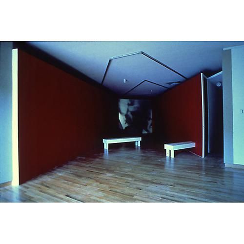  Shifting Cinema for a Red, White, and Blue Movie, 1980 
Sheetrock installation with single-channel, 16mm rear-screen projection system, and four-track sound, 108 x 564 x 492 in.
  View More  ➤ 