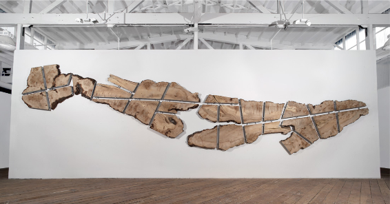 La Ville    2010
Slices of old grove cedar and stainless steel
94 X 339 X 2 in / 238.7 x 861 x 5 cm
