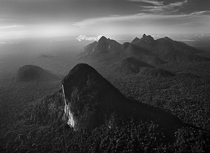 Amazon Forest, State of Amazonas, Brazil
2009
gelatin silver print