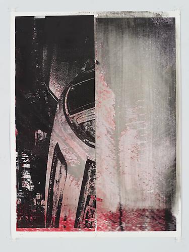 Tamar Halpern
Two Birds In A Feather, 2010
Ultra-chrome ink on paper
44 x 34 inches