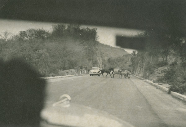 Caballos en al carretera, 1953,
vintage silver gelatin print, 3.4 x 4.6 inches (8.6 x 11.8 cm)