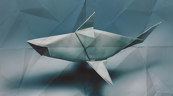 Marc Fichou
