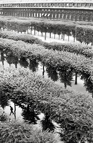 Le Palais Royale
1960
gelatin silver print
