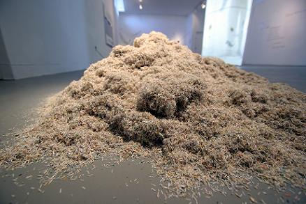 MEDICAL HISTORIES | SHREDDED MEDICAL DOCUMENTS | 2006