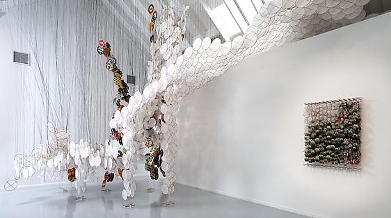 JACOB HASHIMOTO