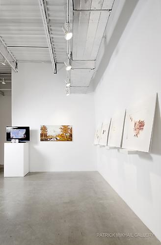 ANDREW MORROW | THIS IS GOING TO HAPPEN AND THERE'S NOTHING WE CAN DO TO STOP IT | INSTALLATION VIEW | 2011