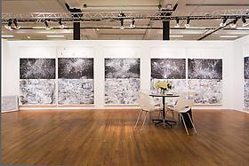 DENMARK'S TOXIQUE MAGAZINE FEATURES AMY SCHISSEL AT VOLTA NEW YORK
