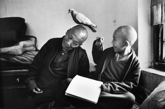 Tulkukhentrol with Tutor, Nepal
1996
gelatin silver print