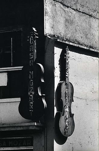 Untitled (Systema Nervioso), circa 1970
vintage silver gelatin print, 9.9 x 6.3