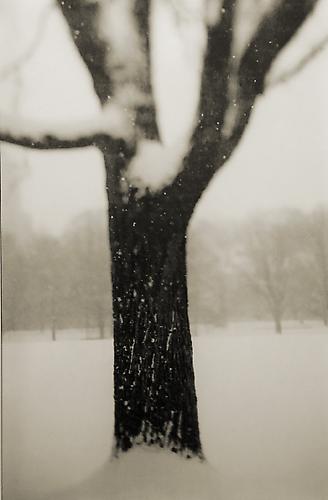 Central Park No. 1, New York
artist proof
2001
gelatin silver print