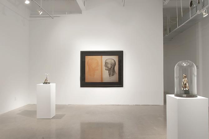 CINDY STELMACKOWICH | IN MOURNING OF | INSTALLATION VIEW | PATRICK MIKHAIL GALLERY | NOVEMBER 2010