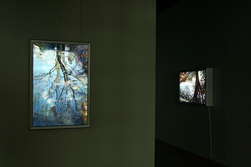 CHERYL PAGUREK | FLOW | INSTALLATION VIEW | OTTAWA CITY HALL ART GALLERY | 2008