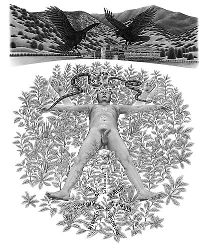 Eric Beltz, How To Identify Flowering Plant Families (2010)
Graphite On Bristol
29h x 23w in (73.66h x 58.42w cm)