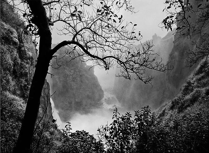 Victoria Falls with Tree
2008
gelatin silver print
